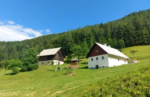 Ravne na Koroskem House | Jurček Holiday Home