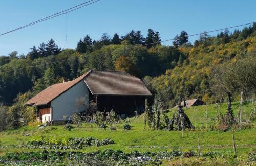 Wiedlisbach Bed & Breakfast | Jurastei 16
