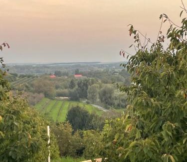 Sandomierz Other | Jurta Rokitek61