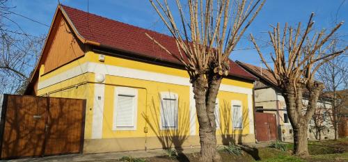 Hodmezovasarhely Apartment | Kölcsey Vendégház