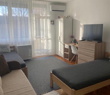 Kiskunfelegyhaza Apartment | Központi apartman