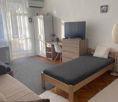 Kiskunfelegyhaza Apartment | Központi apartman