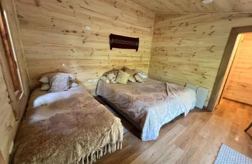 Pucon Cabin | K m 6 River Lodge