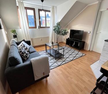 Zentrum Apartment | K2-Project - Gipfelstürmer - Über den Dächern von Schloßchemnitz