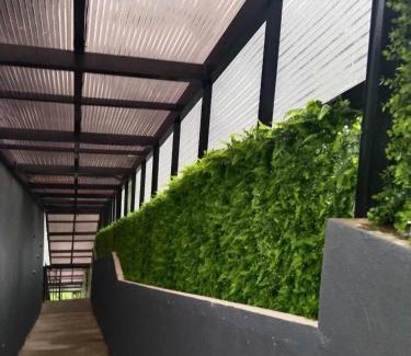 Baguio House | Kai Lodge by the Hill 2