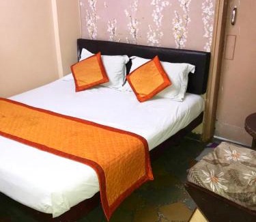 Pink City Cabin | Kailash Hotel