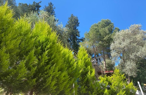 Fethiye Apartment | Kaktus Suites 2