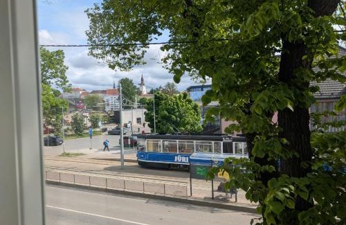 Kalamaja Apartment | Kalamaja apartment with old town view!