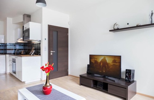 Prague 3 Apartment | Kalina Apartment