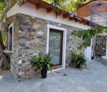 Platres Hotel | Kallithea INN