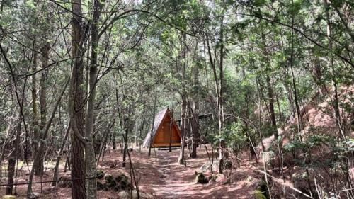 Sutatausa Other | Kamp Nattivo