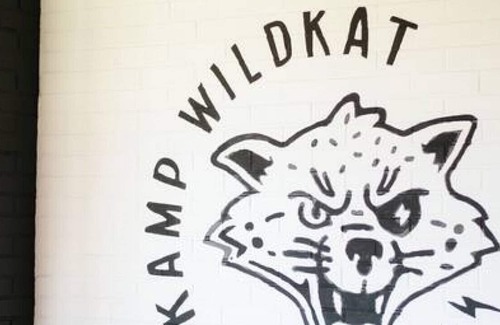 Waynesville House | Kamp Wildkat | Central to Asheville & Smokies