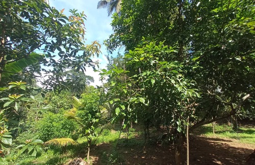 Kadugannawa Villa | Kandy Breeze Stay : A Villa in relaxing natural surrounding with a Spice Garden