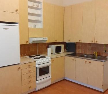 Seinajoki Apartment | Kantrihuoneisto