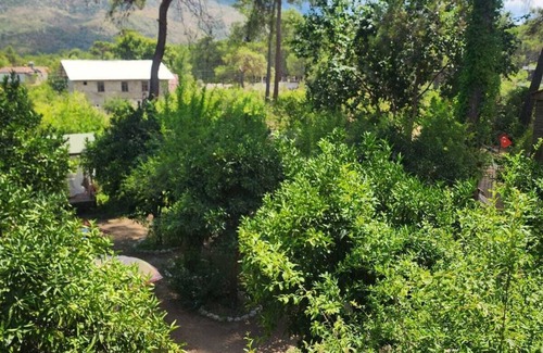 Olympos House | Karakalem Pansiyon