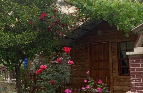 Olympos House | Karakalem Pansiyon