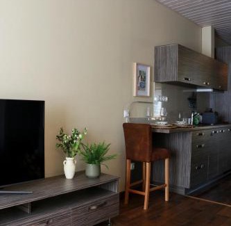 Parnu Apartment | Karja Apartment Beach and City