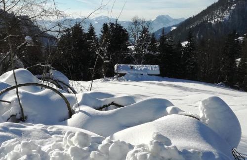 Walchsee Apartment | Karrerhof