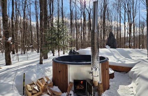 Amherst Ski Chalet | Kartalla - the A frame experience in Tremblant