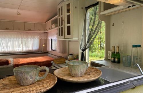 Ahijarve Other | Karula Stay Camper by lake Ähijärv - SUPs included