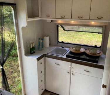Ahijarve Other | Karula Stay Camper by lake Ähijärv - SUPs included