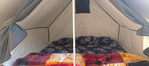 Almora Cabin | Kasar jungle camp