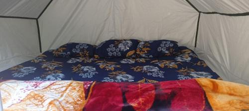 Almora Cabin | Kasar jungle camp