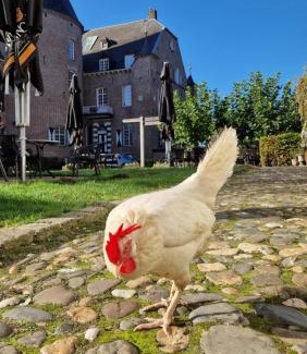 Haelen Bed & Breakfast | Kasteel Aldenghoor