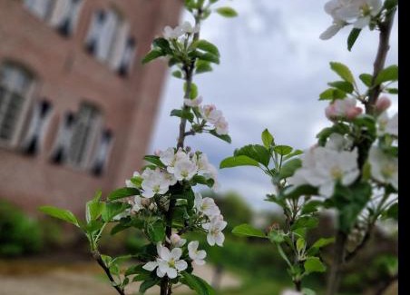 Haelen Bed & Breakfast | Kasteel Aldenghoor