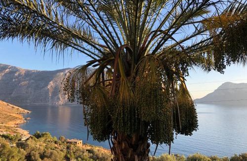 Kalymnos House | Kastri Apartments