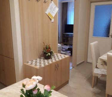 Hajduszoboszlo Apartment | Katalin Apartman
