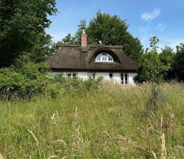 Bielenberg House | Kate unter Reet im Grünen