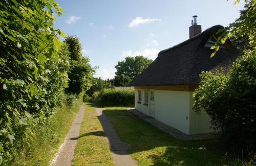 Bielenberg House | Kate unter Reet im Grünen