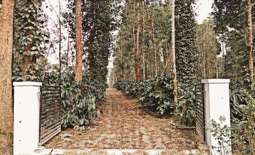 Sakleshpur House | Katihalli Estate Stays