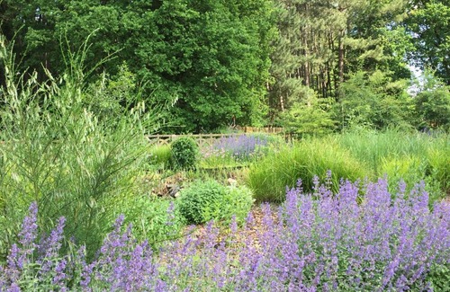 Terboekt House | Kattevennenbos