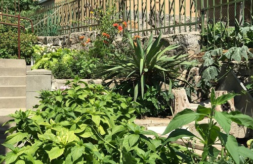 Sozopol Apartment | Kavakka vacation apartment