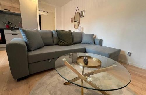 Le Kremlin-Bicetre Apartment | KB 50 - Hôpital Bicêtre - Metro 14 et 7 - Free Parking - Ascenseur