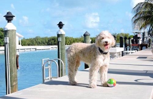 Key Colony Beach House | KCB Beach House