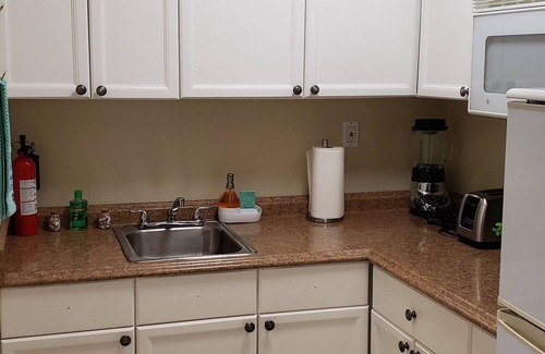 Tampa Apartment | Keep it simple at this peaceful and centrally-located place