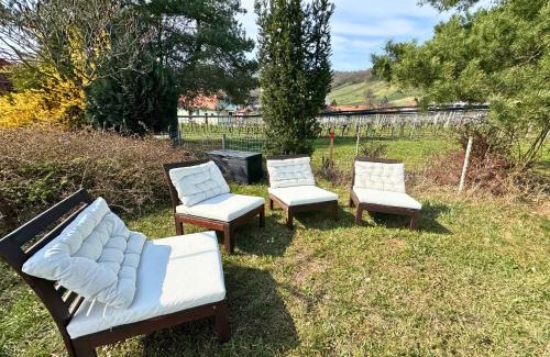 Eisenberg an der Pinka Apartment | Kellerstöckl - Zur Weinreibe 1