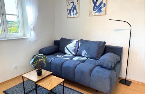 Eisenberg an der Pinka Apartment | Kellerstöckl - Zur Weinreibe 1