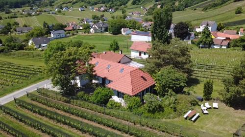 Eisenberg an der Pinka Apartment | Kellerstöckl - Zur Weinrebe 2