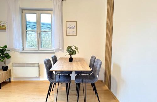 Eisenberg an der Pinka Apartment | Kellerstöckl - Zur Weinrebe 2