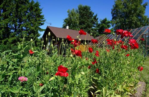 Parispea House | Kelluka Holiday House