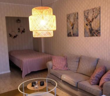 Kemi Apartment | Kemi city center 2 room and kitchen FREE PRIVATE PARKING