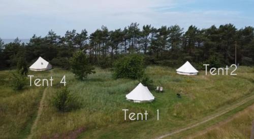 Saraiki Other | KEMPINGS Kareļi