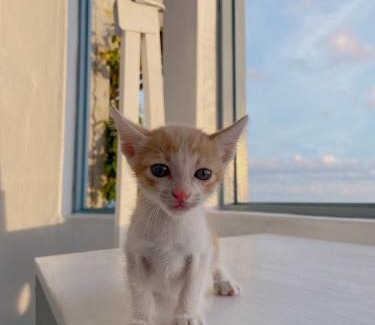 Sail Rock Beach House | Kenting Met Hi Inn