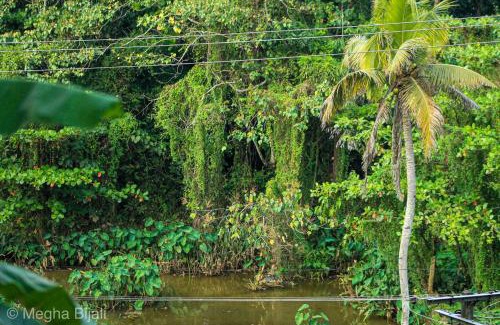 Anchal Villa | Kerala Heritage Villa
