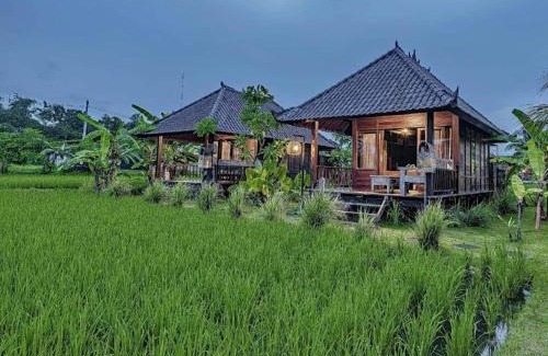 Medahan Resort | Keramas Surf Camp