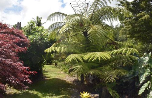 Kerikeri Bed & Breakfast | Kerikeri Garden Homestead